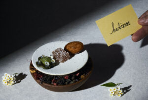 Gallery Thumbnail 5