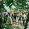 Ubud food fest 2026