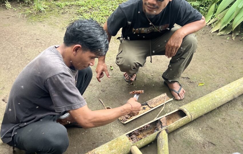 local farmer foraging wild honey ubud culinary experience