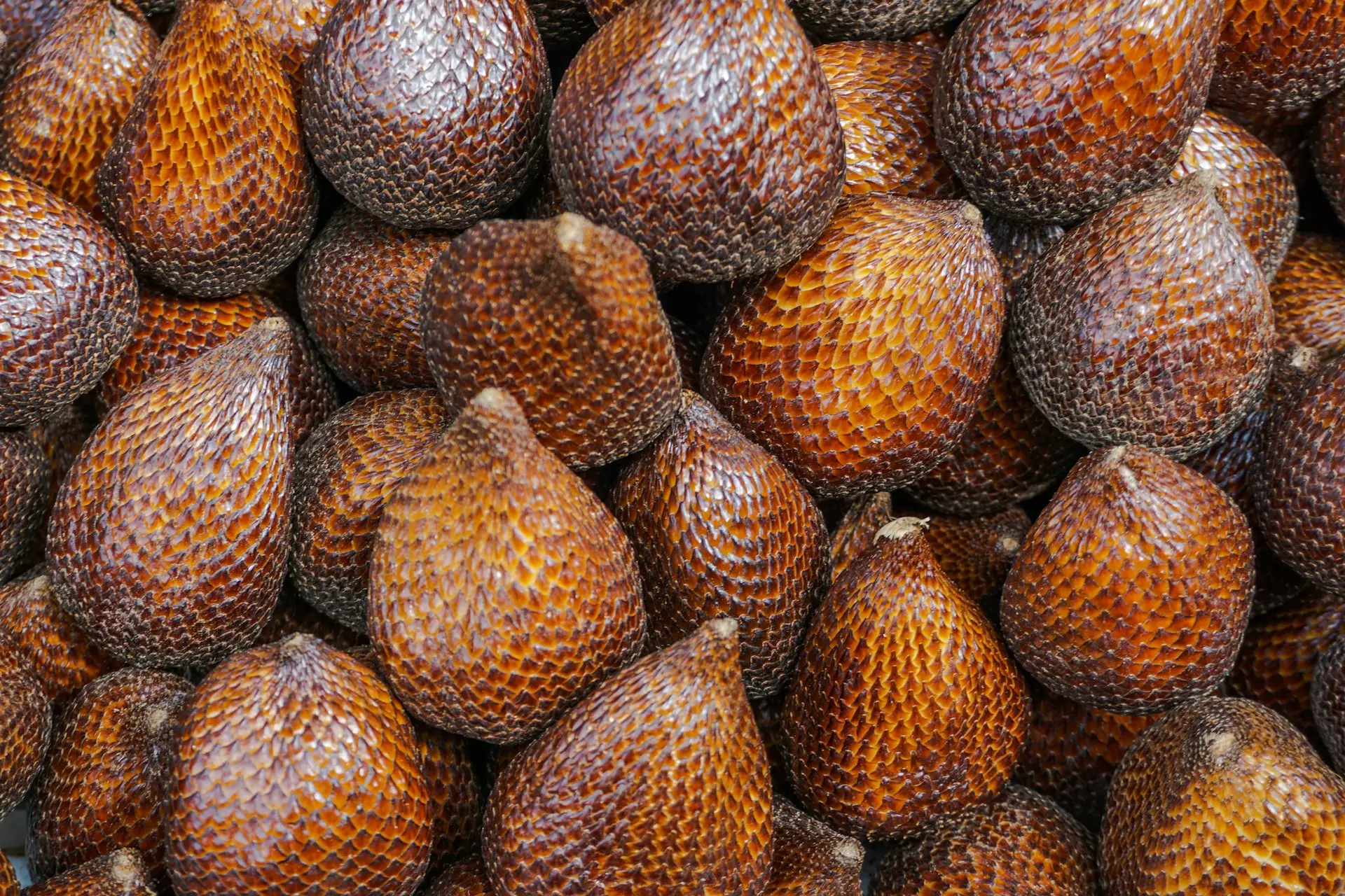 Snake fruit salak Bali