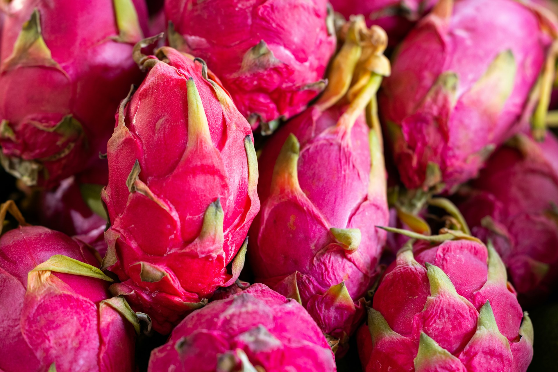 Dragonfruit