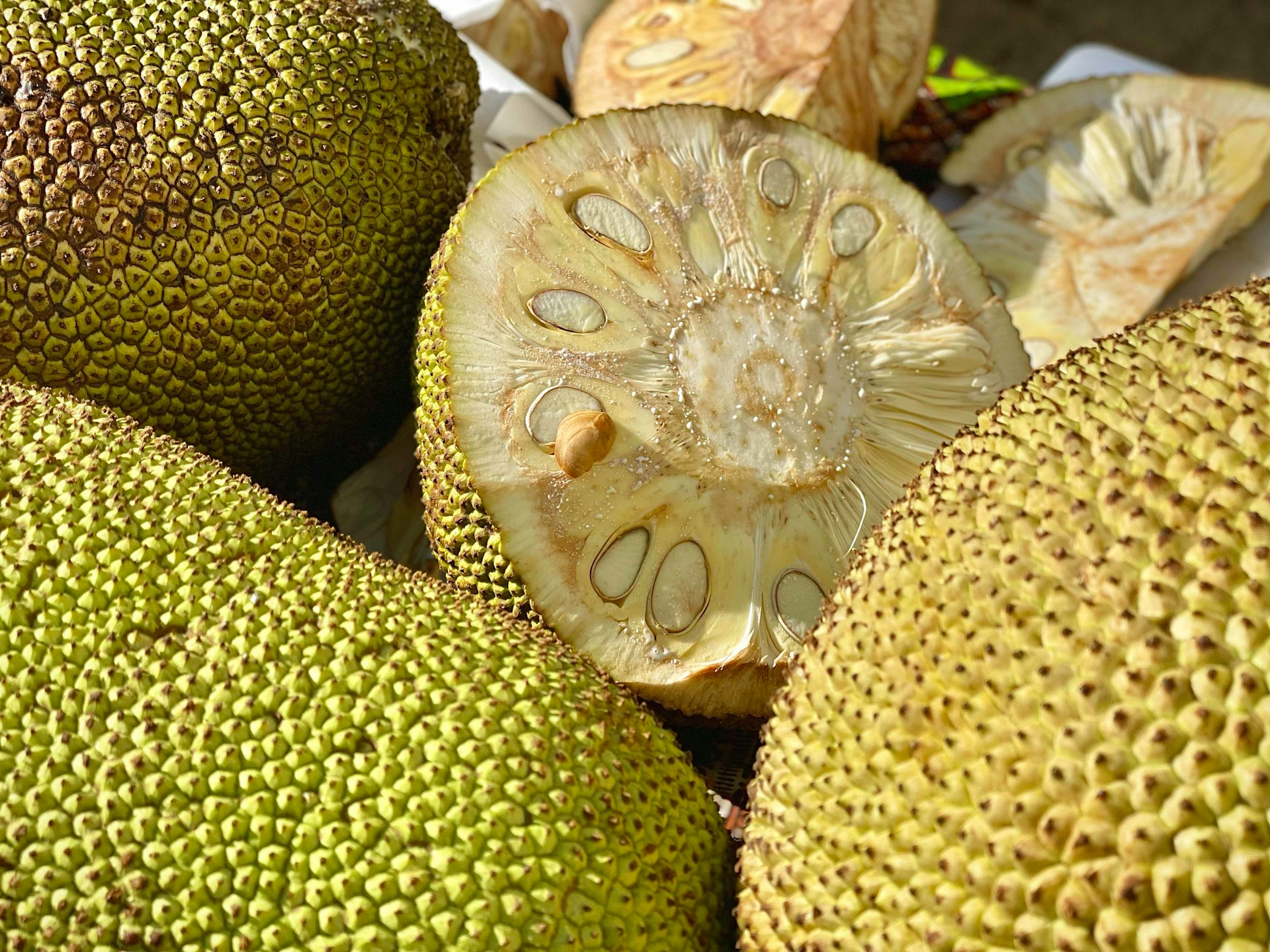 Jackfruit